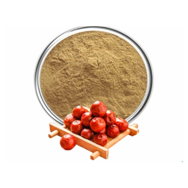 Spine Date Seed Extract