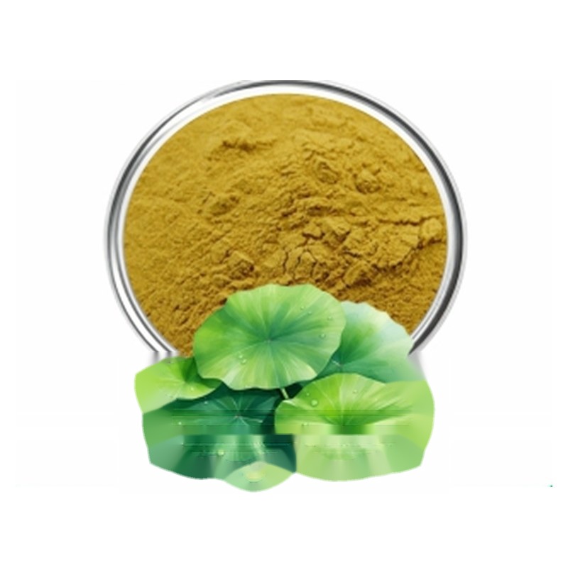 Lotus Leaf Extract